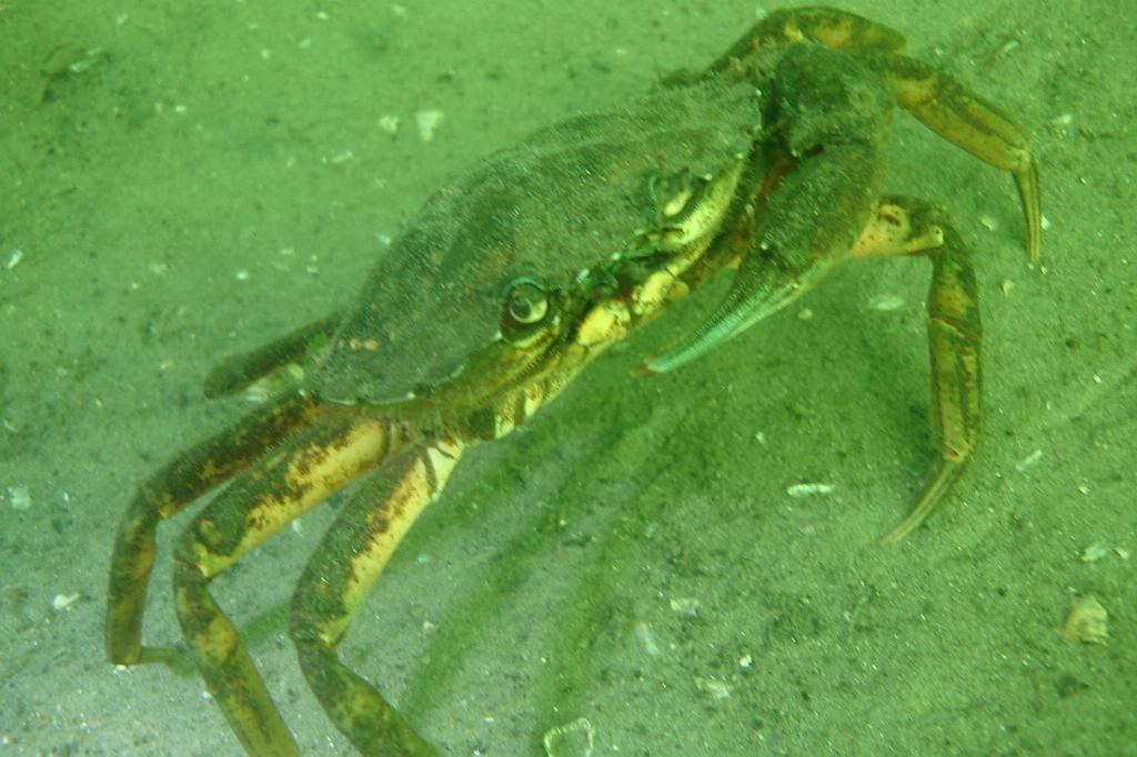 2008-08-31 11-11-36.JPG